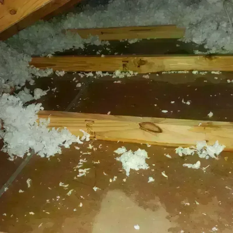 Attic Water Damage in Sturgeon Bay, WI